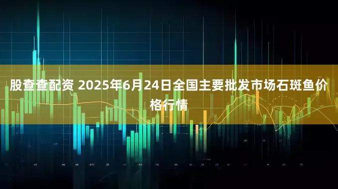 股查查配资 2025年6月24日全国主要批发市场石斑鱼价格行情