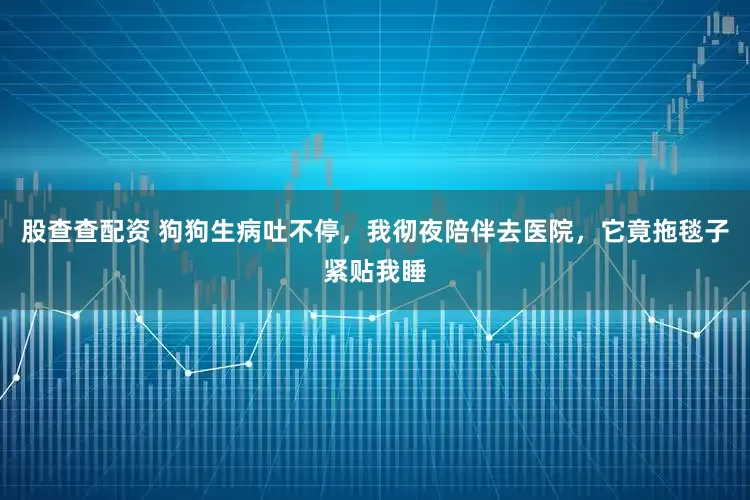 股查查配资 狗狗生病吐不停,我彻夜陪伴去医院,它竟拖毯子紧贴我睡