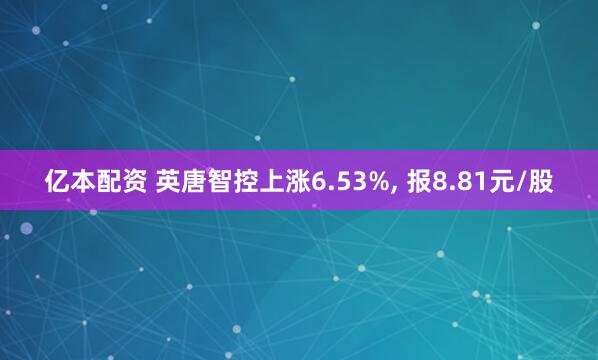 亿本配资 英唐智控上涨6.53%, 报8.81元/股